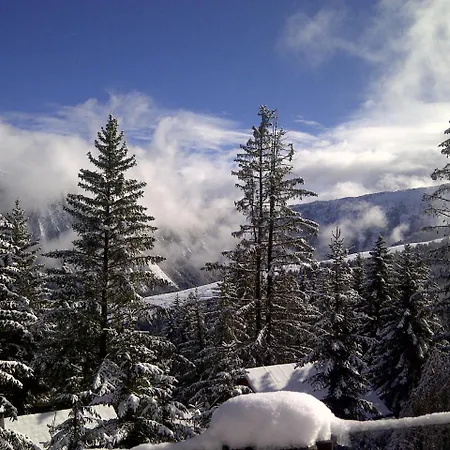 Bellecote קורשבל